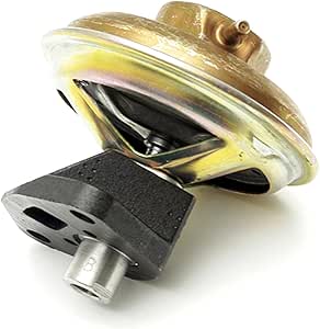 Delphi EG10019 EGR Valve