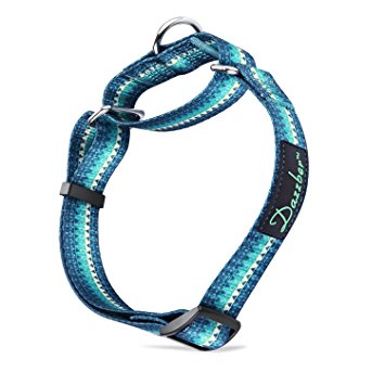 Martingale Collars for Dogs Durable D-ring Heavy Duty No Pull No Escape Dog Collar for Large/Small Dogs By Dazzber