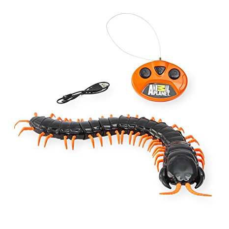 Animal Planet Giant Radio Control Centipede with Squirming Action