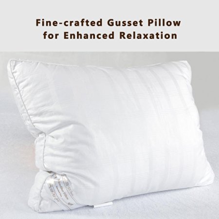 Standard One Pack: Luxury Down Alternative White Microfiber  Pillow, Hypo-Allergenic, 100% Cotton with Elegant Design. Premium Hotel Quality by DUCK & GOOSE CO