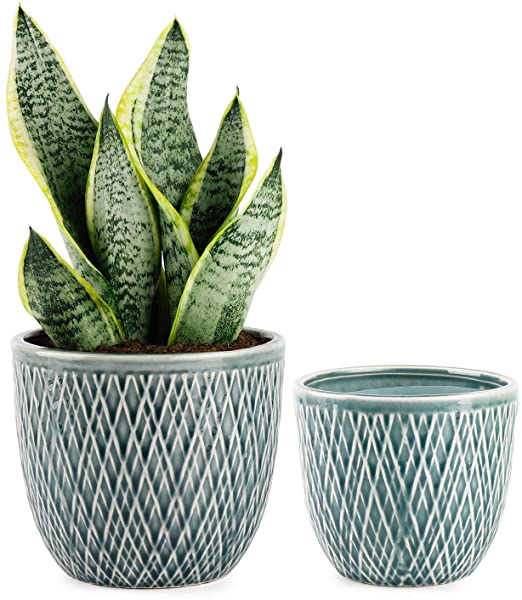 Greenaholics Plaid Ceramic Planters - 4.7   5.9 Inch Plant Pots with Drain Hole, Flower Plant Pots for Indoor Decor, Set of Two, Blue