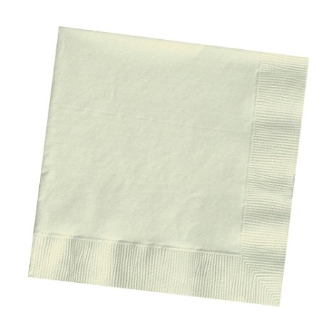 Creative Converting Touch of Color 2-Ply 50 Count Paper Lunch Napkins, Ivory