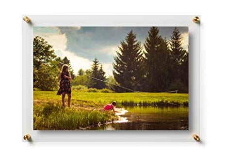 Wexel Art 15x21-Inch Double Panel Framing Grade Acrylic Floating Frame with Gold Hardware for 11x17-Inch Art & Photos