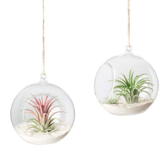 Mkono Glass Hanging Terrarium Air Plant Globe Candle Holder Home Decor Set of 2, 4 3/4 Inches