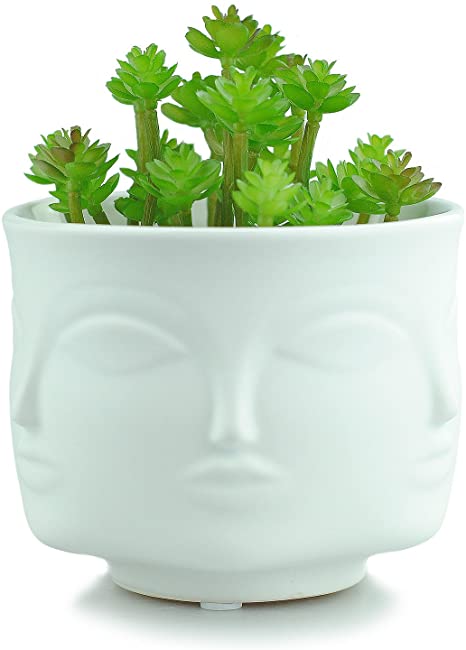 VanEnjoy Modern Decorative Nordic Style Face Statue Planter Flower Pots,Faces on 6 Sides, 4.37 Inches (White)
