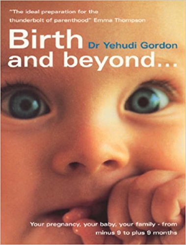 Birth And Beyond: The Definitive Guide to Your Pregnancy, Your Birth, Your Family - From Minus 9 to Plus 9 Months