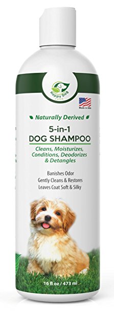 Natural Dog Shampoo and Conditioner - Premium Oatmeal Pet Shampoo For Dogs - Deodorizing, Moisturizing & Detangling - Plus Aloe & Coconut - Perfect For Dry & Itchy Skin - Made in USA