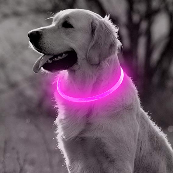 BSeen LED Dog Collar, USB Rechargeable Glowing Pet Collar, TPU Cuttable Dog Safety Lights for Small Medium Large Dogs