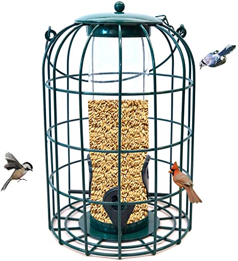 Nature's Rhythm Outdoor Hanging Bird Feeder Caged PC Tube Squirrel Proof Wild Bird Feeder with Large Metal Seed Guard Deterrent