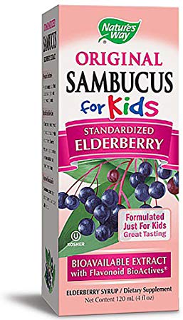 Nature's Way Sambucus Kids Syrup Berry - 4 fl oz