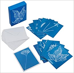 Sunprint Notecards: The Cyanotypes of Anna Atkins (12 notecards; 12 designs; matching envelopes; keepsake box)