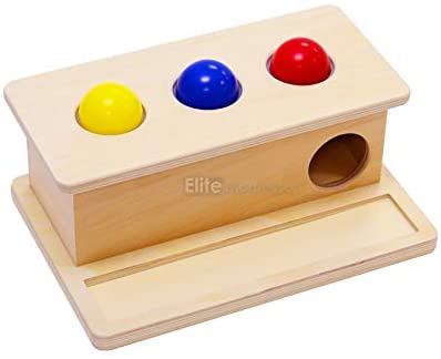 Elite Montessori Baby Object Permanence Ball Push Toy
