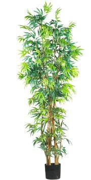 Nearly Natural 5189 Curved Bamboo Silk Tree, 7-Feet, Green