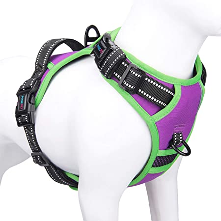 PHOEPET 2019 Upgraded No Pull Dog Harness, Unique Colors Reflective Adjustable Vest, with a Training Handle   2 Metal Leash Hooks  3 Snap Buckles  4 Slide Buckles [Easy to Put on & Take Off]