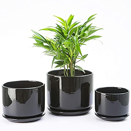 Plant Pots, Flower Pots Planters with Connected Saucer, Round Modern Decorative Succulent Gardening Pot with Drainage Hole for Indoor Plants Flowers Herbs - Set of 3 (Black)