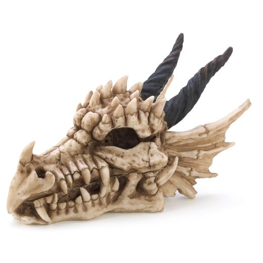 Snarling Magical Dragon Skull Treasure Trinket Box