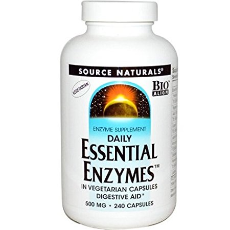 Source Naturals Essential Enzymes 500mg Daily Digestive Aid with BioAlign - 240 Vegetarian Capsules