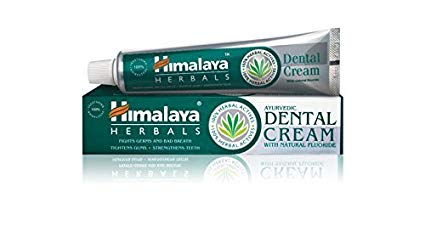 Himalaya Herbals Dental Cream Toothpaste 3 Pcs of 100g Anti-inflammatory, Anti-swelling, Gum Protection Dental Care Hygiene Toothpaste