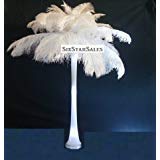 Ostrich Wholesale Bulk 10-14" Long~Bleach White Deluxe Tail Feathers-100 in Package by Six Star Sales