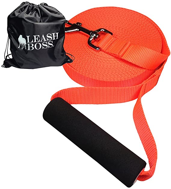 Leashboss Free Range 30 Foot Long Nylon Dog Leash for Large Dogs w/Drawstring Backpack - 1 Inch Wide Heavy Duty Long Training Lead with Padded Handle (30 Ft, 1 in, Bright Orange)