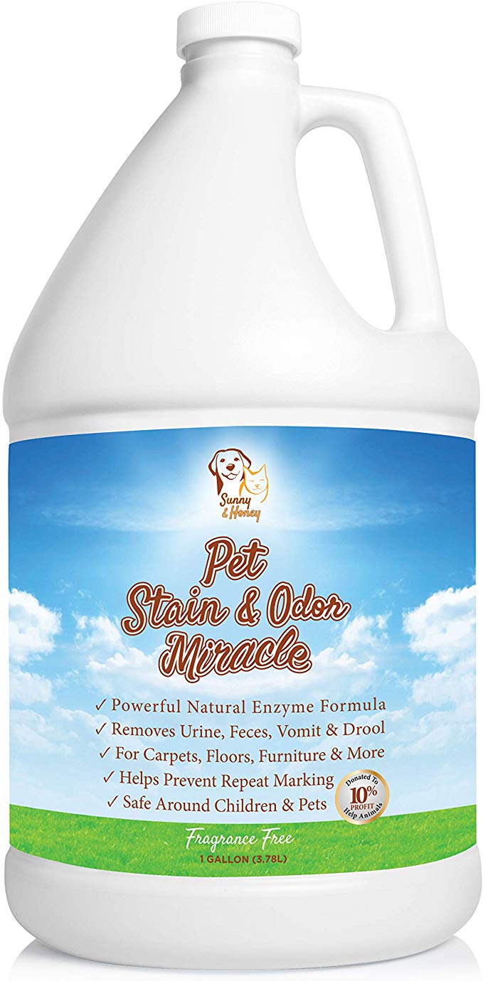 Sunny & Honey Pet Stain & Odor Miracle - Enzyme Cleaner for Dog and Cat Urine, Feces, Vomit, Drool (Fragrance Free, 1 Gallon)