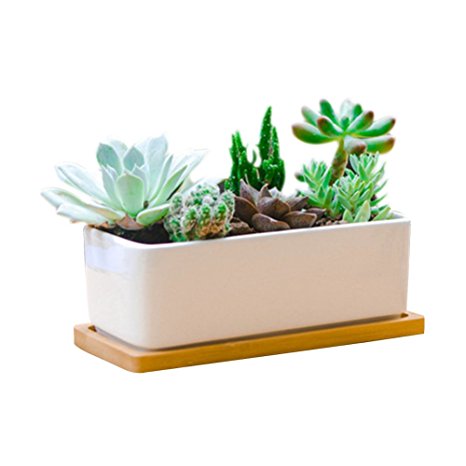 6.5 Inch Rectangle White Ceramic Succulent Planter Pot Decorative Cactus Plant Pot Flower Container with Bamboo Tray