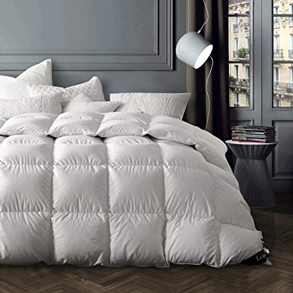 Globon Washable Texcote Nano-Treated White Goose Down Comforter Queen/Full Size, 50 OZ Fill Weight, 700 Fill Power, 400 Thread Count 100% Cotton Shell, White