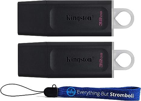 Kingston 32GB Flash Drive DataTraveler Exodia (Bulk 2 Pack) USB 3.2 Type-A Drive 100MB/s High Speed PenDrive for Computer or Laptop (DTX/32GB) Bundle with (1) Everything But Stromboli Lanyard