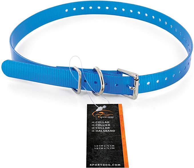 SportDOG 3/4" Collar Strap, Blue