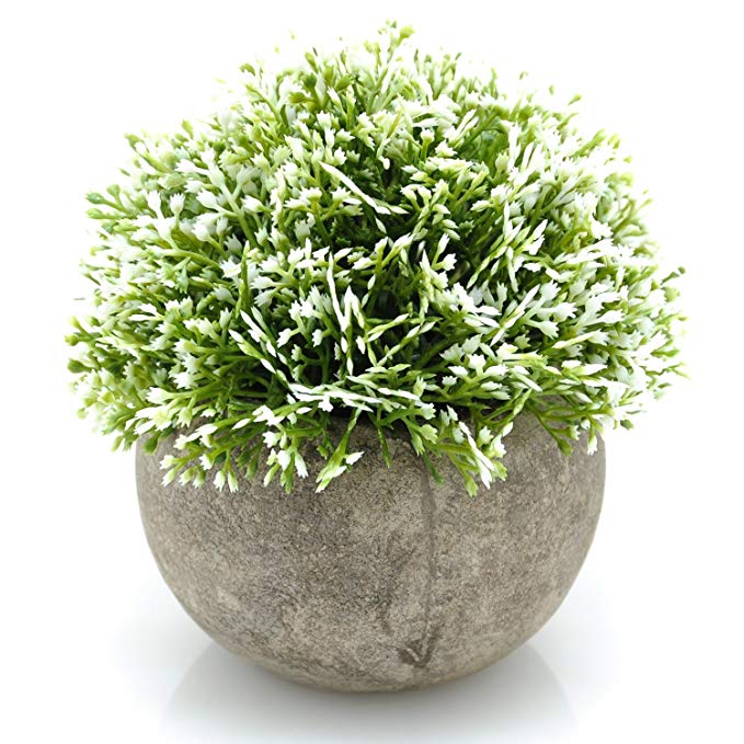 Velener Mini Plastic Artificial Plants in Pots for Home Decor (White, Green)