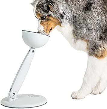 JoviBowl - Elevated Bowl with Multiple/Adjustable Heights and tilt | The Optimum Feeding System for Dogs and Cats