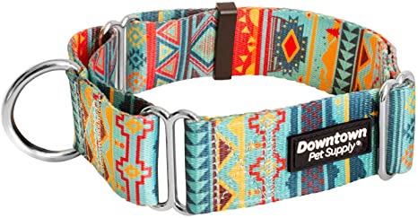 Downtown Pet Supply Big and Wide Durable Martingale Training Collars for Dogs and Puppy in Small, Medium, Large, and Extra Large Dog Collar (Tribal, X-Large)