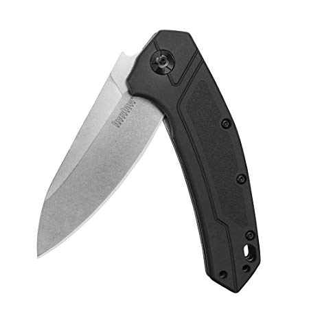 Kershaw Rove (1965) Folding Pocket Knife EDC with Drop-Point Blade; Features SpeedSafe Assisted Opening, Flipper, Liner Lock, Lanyard Hole, Deep-Carry Pocketclip, Wear Resistance & Edge Retention