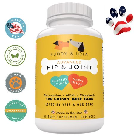 Premium Extra Strength 800mg Glucosamine for Dogs - 120 Chewable Tabs - Advanced Hip and Joint - Best Ingredients for Mobility and Fast Joint Pain Relief
