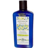 Andalou Naturals Age Defying Treatment Conditioner Thinning Hair Treatment with Argan Stem Cells 115 Ounce