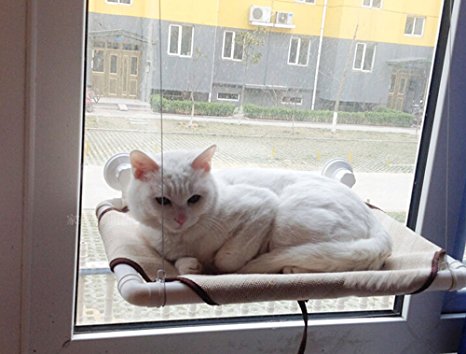 Summer Cat Bed Window hammock