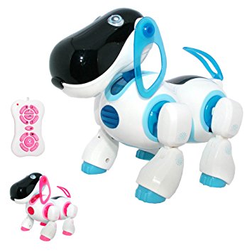 Interactive Remote Control Dog Toy for Boys - Interactive Walking Talking RC Robot Dog Toys for Kids - LED Lights and Sound - Childrens Pet Robot Puppy for Boys - Blue (PL201)