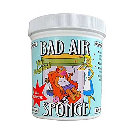 Bad Air Sponge Air Odor Absorbent