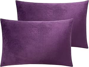 NTBAY Velvet Soft Solid Color Zipped Toddler Pillowcases, 2 Pack Cozy Luxury Zippered Plush Travel Pillow Cases, 13x18 Inches, Purple