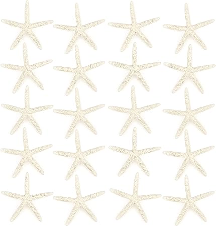 Jangostor 20 PCS Starfish, 2.5" to 4" Natural Seashells Starfish Star Fish Shells Decorations White Starfish Ornaments Perfect for Wedding Beach Theme Party Home Decorations, DIY Crafts, Fish Tank