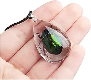 Acxico 1Pcs Egyptian Scarab Beetle in Resin Charm Tibetan Silver 18" Necklace