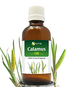 Calamus Oil (Acorus Calamus) Therapeutic Essential Oil by Salvia Amber Bottle 100% Natural Uncut Undiluted Pure Cold Pressed Aromatherapy Premium Oil - 15ML/ 0.5 fl oz