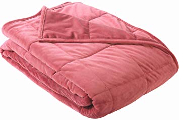 Sedona House Weighted Micromink Fabric Fleece Bedding Blanket and Cover (Red, Queen 60"x80")