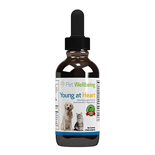 Pet Wellbeing Young at Heart for Cats and Dogs, 2oz(59ml)