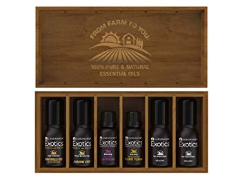 GuruNanda Essential Oil Set   Wooden Box - Rare & Premium Therapeutic Grade Oils for Aromatherapy Diffuser - Includes Immortelle - Jasmine - Lavender - Ylang Ylang - 2 Empty Roll On Bottles