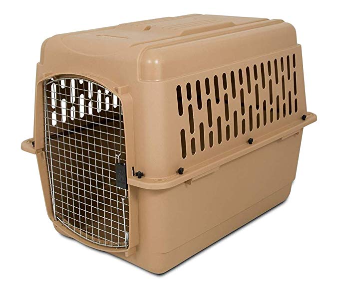 Aspen Pet Porter Heavy-Duty Pet Carrier