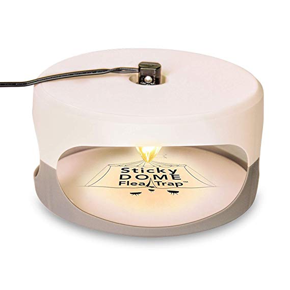 Aspectek Ultimate Flea Trap for Inside Your Home with 2 Glue Discs, Non-Poisonous and Pet-Friendly Dome Flea Trap Light