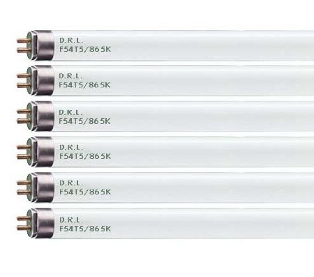 (Pack of 6) F54T5/865/HO 54-Watt T5 High Output Daylight Bulbs 6500K Fluorescent light bulb tube
