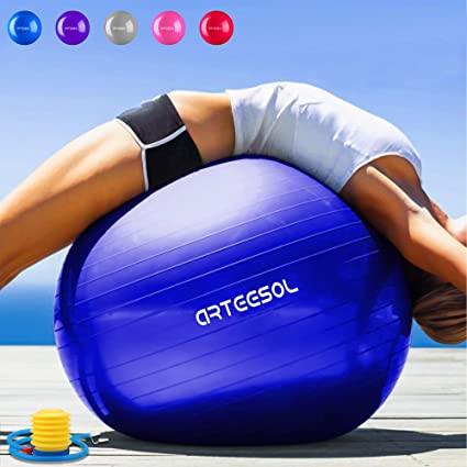 Arteesol Anti-Burst Exercise Ball, Fitness Balance Swiss Ball with Quick Pump 45/55/65/75cm Anti-Slip Yoga Ball Heavy Duty Gym Ball for Physical Therapy, Gym and Home Exercise