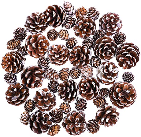 Cooraby Christmas Pine Cones Natural Snow 20 Pieces 4-6 cm Pine Cones and 30 Pieces 2-3 cm Micro-Mini Pine Cones for Thanksgiving Decoration, Fall and Christmas Crafts, 50 Pieces Total